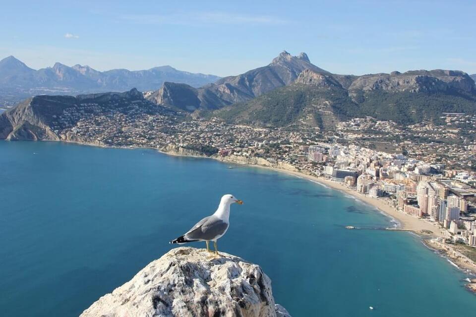 Villa Almendros - Plusholidays Calpe Zewnętrze zdjęcie